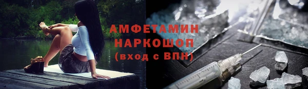 шишки Беломорск