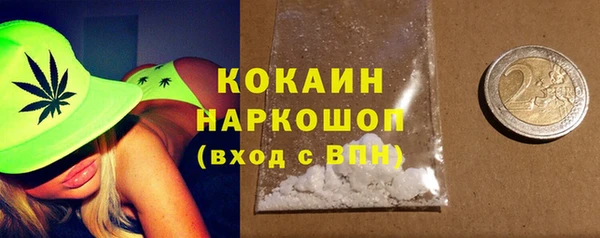 шишки Беломорск