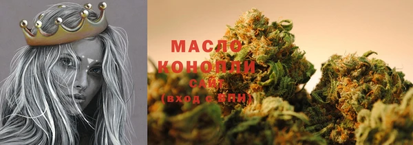 шишки Беломорск