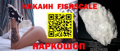 jwh Новозыбков