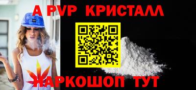 шишки Новодвинск
