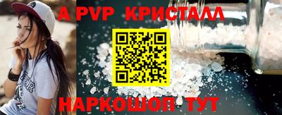 шишки Новодвинск