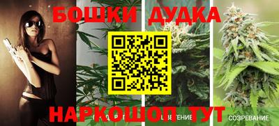 винт Новокубанск