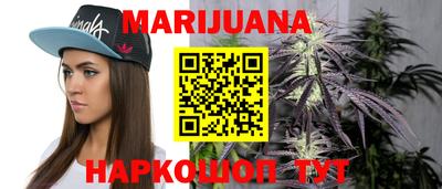 шишки Новодвинск