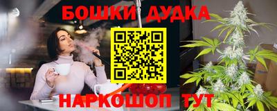 шишки Новодвинск