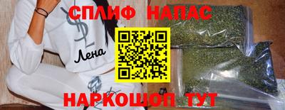 jwh Новозыбков