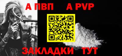 шишки Новодвинск