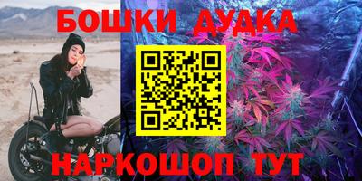 шишки Новодвинск