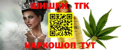 шишки Новодвинск