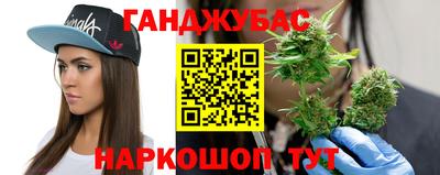 jwh Новозыбков