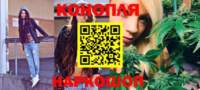 jwh Новозыбков