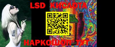 шишки Новодвинск