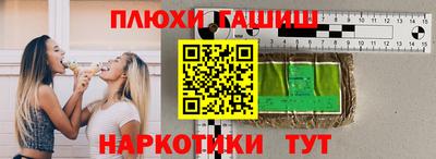 шишки Новодвинск