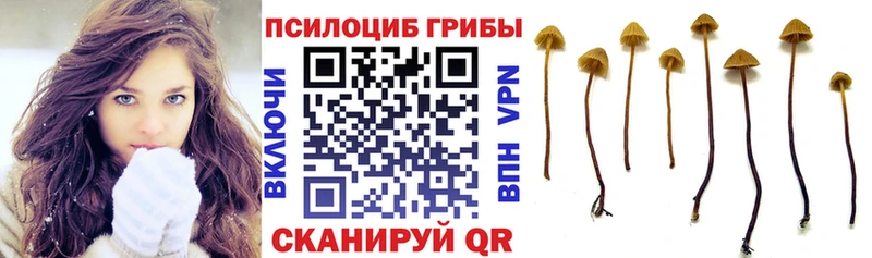 Галлюциногенные грибы GOLDEN TEACHER закладки Пятигорск