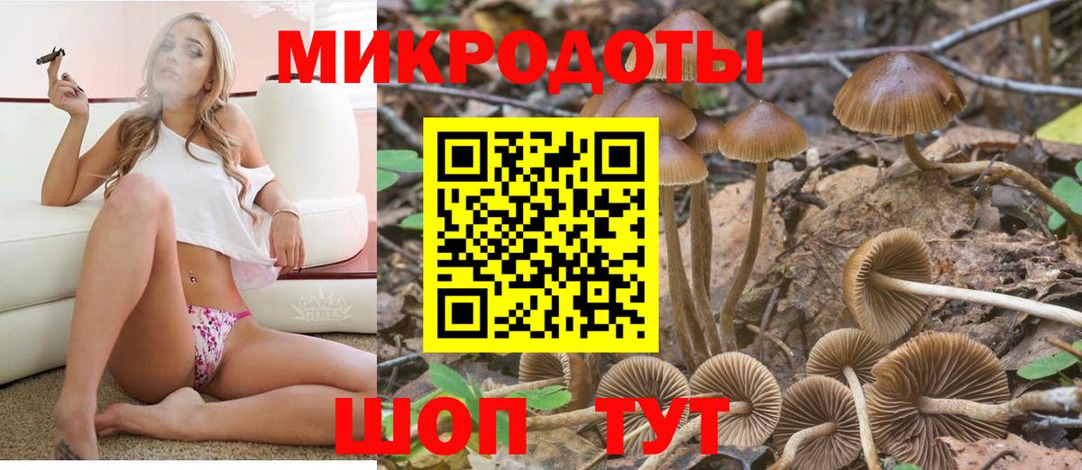 Псилоцибиновые грибы Cubensis Пятигорск