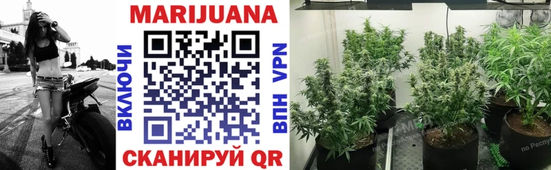 купить наркотики сайты  Пятигорск  Канабис конопля 