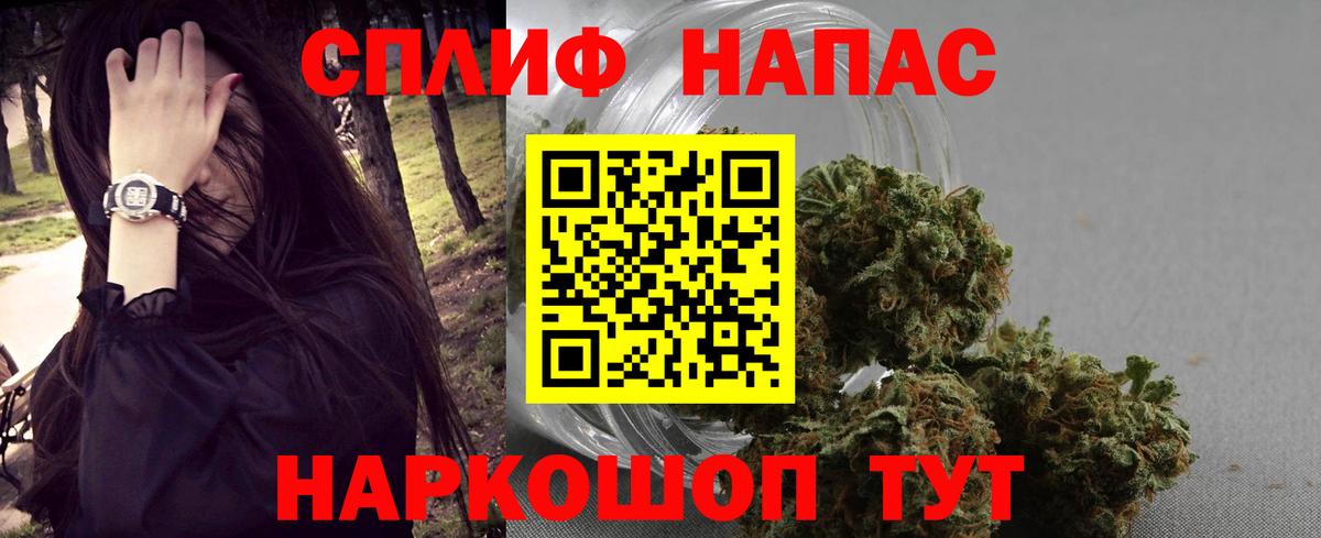 Конопля марихуана Пятигорск
